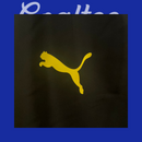 Borussia Dortmund Windbreaker 24/25