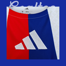 Lyon Jersey 25/26 (Fan Version)