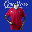 Portugal Jersey World Cup 2026 (Fan Version)